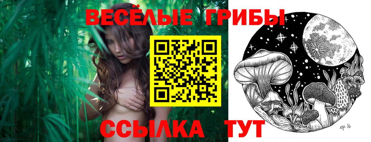 Галлюциногенные грибы MAGIC MUSHROOMS  купить   Дятьково  Вход с VPN  Псилоцибиновые грибы GOLDEN TEACHER 